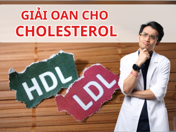 Cholesterol Có Thực Sự Gây Hại? Sự Thật Về Chất Béo Và Sức Khỏe Tim Mạch