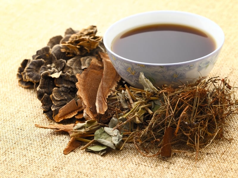 Cách chữa thoái hóa cột sống bằng dân gian từ những cây thuốc quý