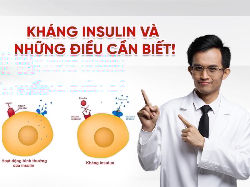 Kháng Insulin Là Gì? Cách Giảm Tỉ Lệ Kháng Insulin Vô Cùng Hiệu Quả