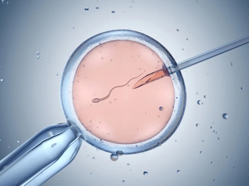 Hoãn IVF vì COVID có giảm tỉ lệ thành công với AMH thấp không?