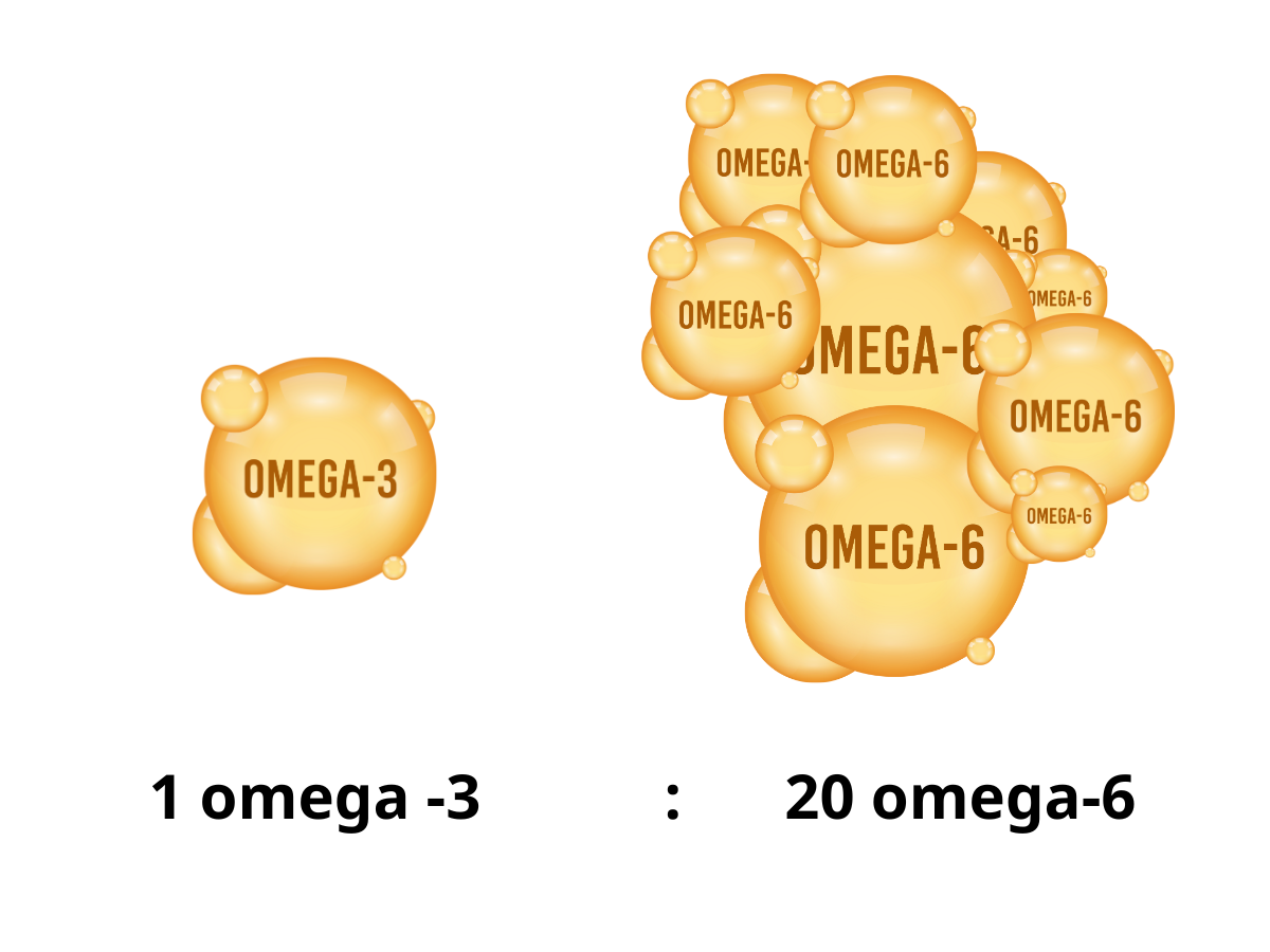 Omega 3 có tác dụng gì? Dưỡng chất quan trọng hay chỉ là chiêu trò thương mại?