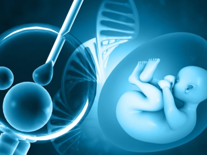 Hoãn IVF vì COVID có giảm tỉ lệ thành công với AMH thấp không?