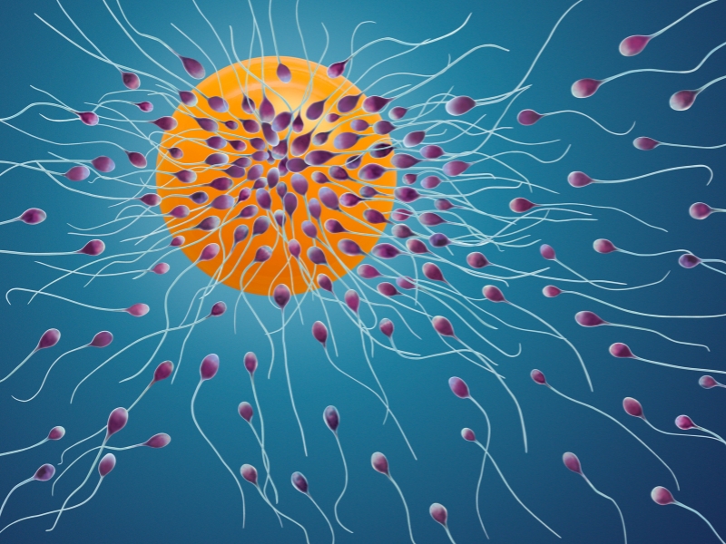 Tinh trùng đặc hay loãng tốt hơn? Góc nhìn từ chuyên gia nam khoa