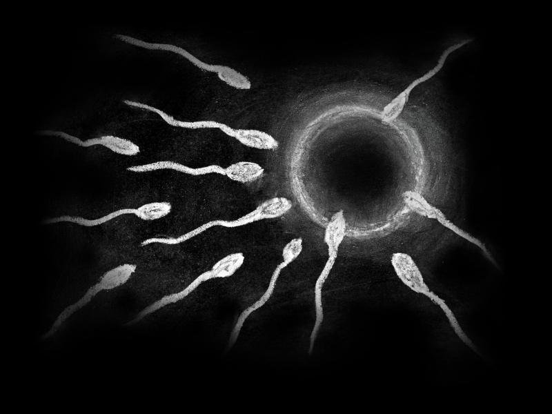 Tinh trùng đặc hay loãng tốt hơn? Góc nhìn từ chuyên gia nam khoa