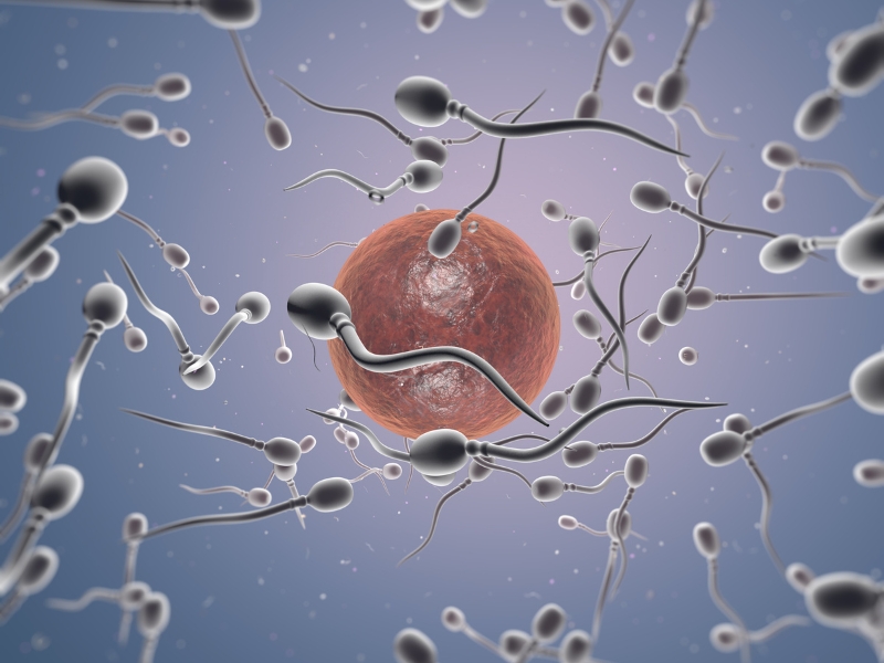 Tinh trùng đặc hay loãng tốt hơn? Góc nhìn từ chuyên gia nam khoa