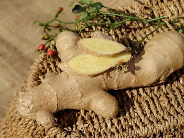 cách chữa thoái hóa cột sống bằng dân gian