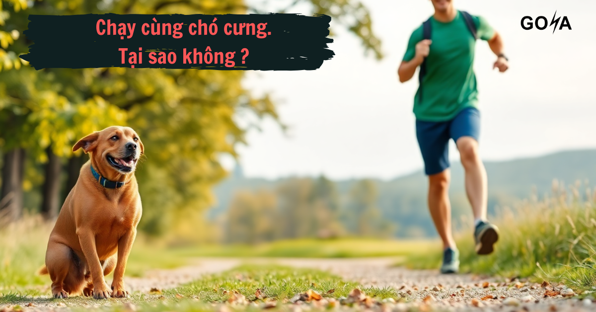 Chạy Cùng Chó Cưng: Tại sao không?