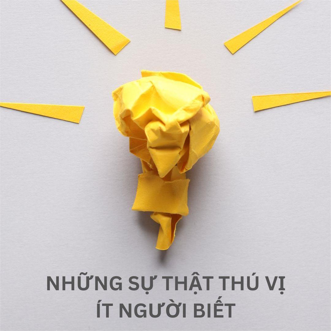 NHỮNG SỰ THẬT THÚ VỊ VỀ CHẠY BỘ ÍT NGƯỜI BIẾT