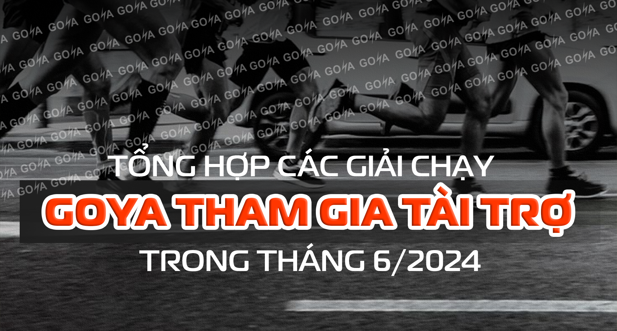 Tổng hợp các giải chạy GOYA tham gia tài trợ trong tháng 6/2024