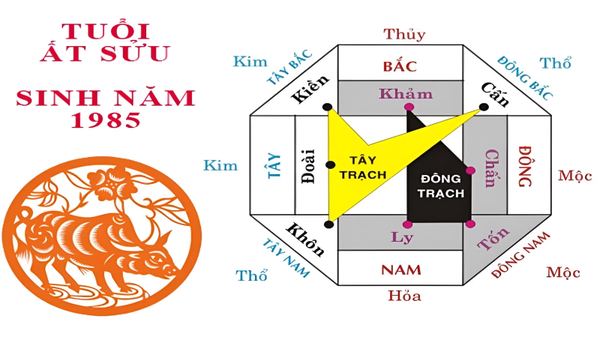 1985 hợp hướng nào? Hướng dẫn xem hướng nhà hợp phong thủy nhất