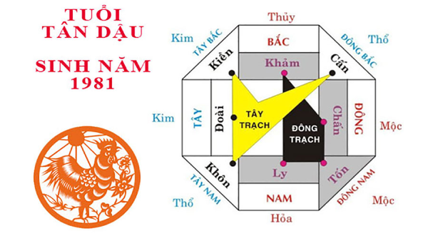 Tuổi Tân Dậu 1981 hợp hướng nào? Phân tích hướng nhà phù hợp 2023