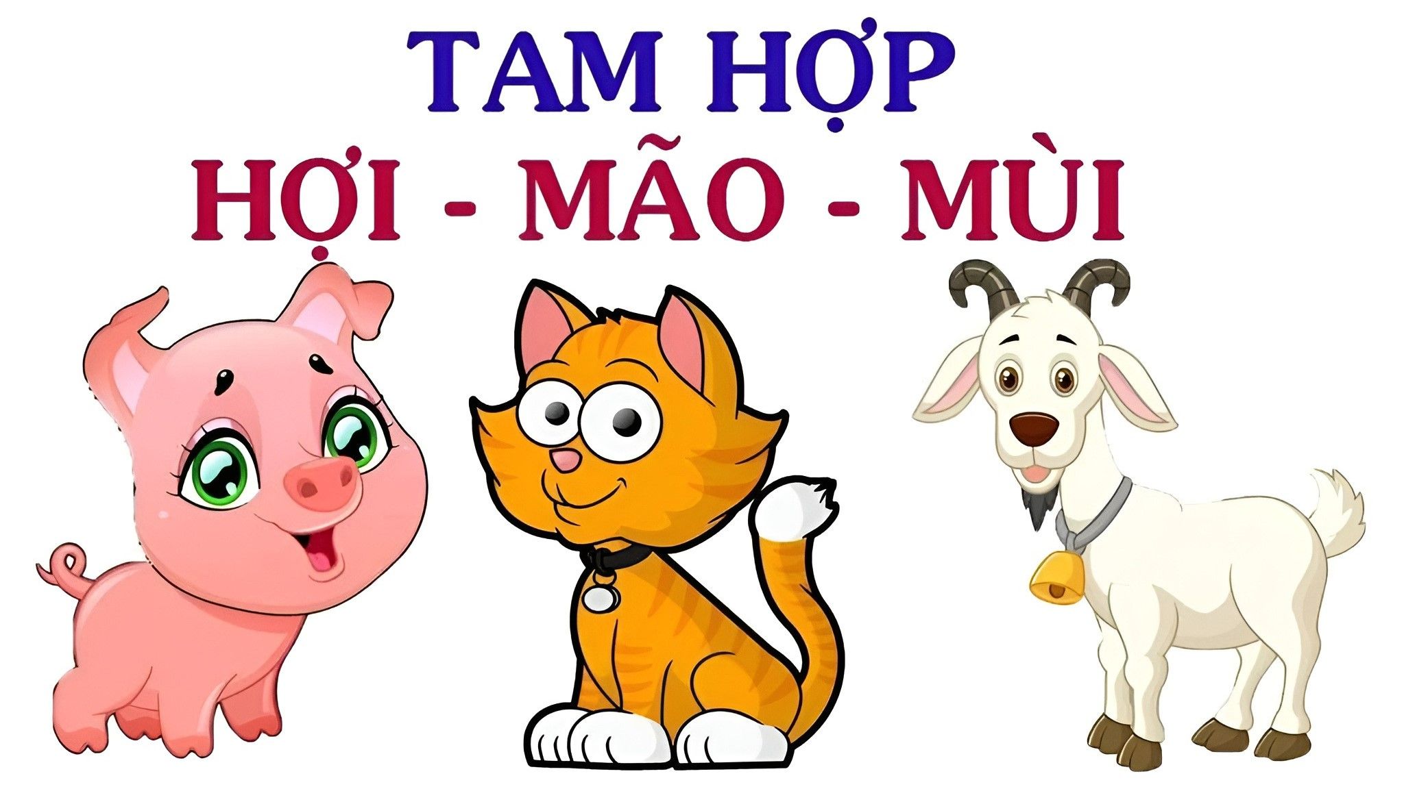 Tam hợp Hợi - Mão - Mùi