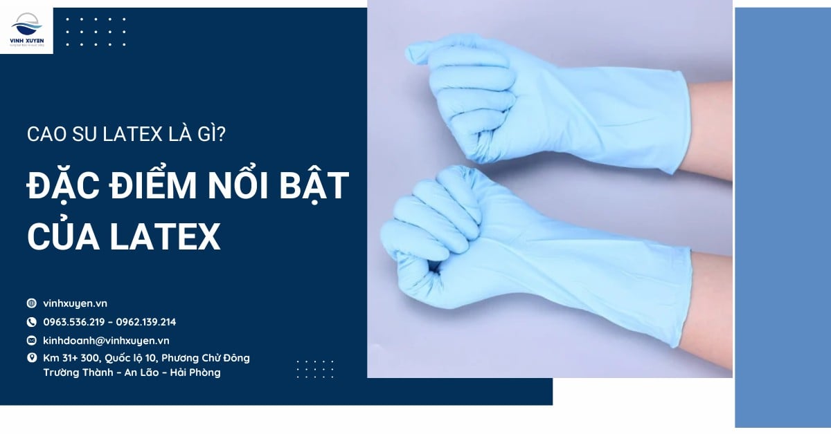 Cao su Latex là gì? Đặc điểm nổi bật của Latex