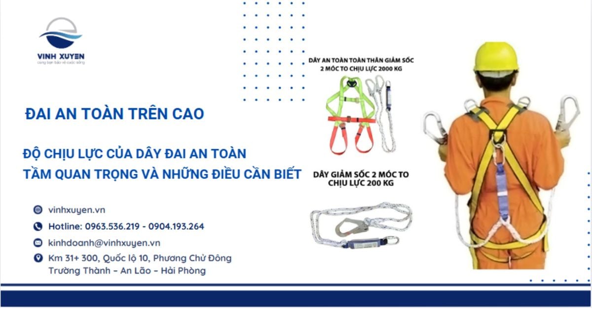 Độ Chịu Lực Của Dây Đai An Toàn - Tầm Quan Trọng Và Những Điều Cần Biết