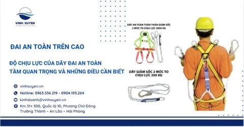 Độ Chịu Lực Của Dây Đai An Toàn - Tầm Quan Trọng Và Những Điều Cần Biết