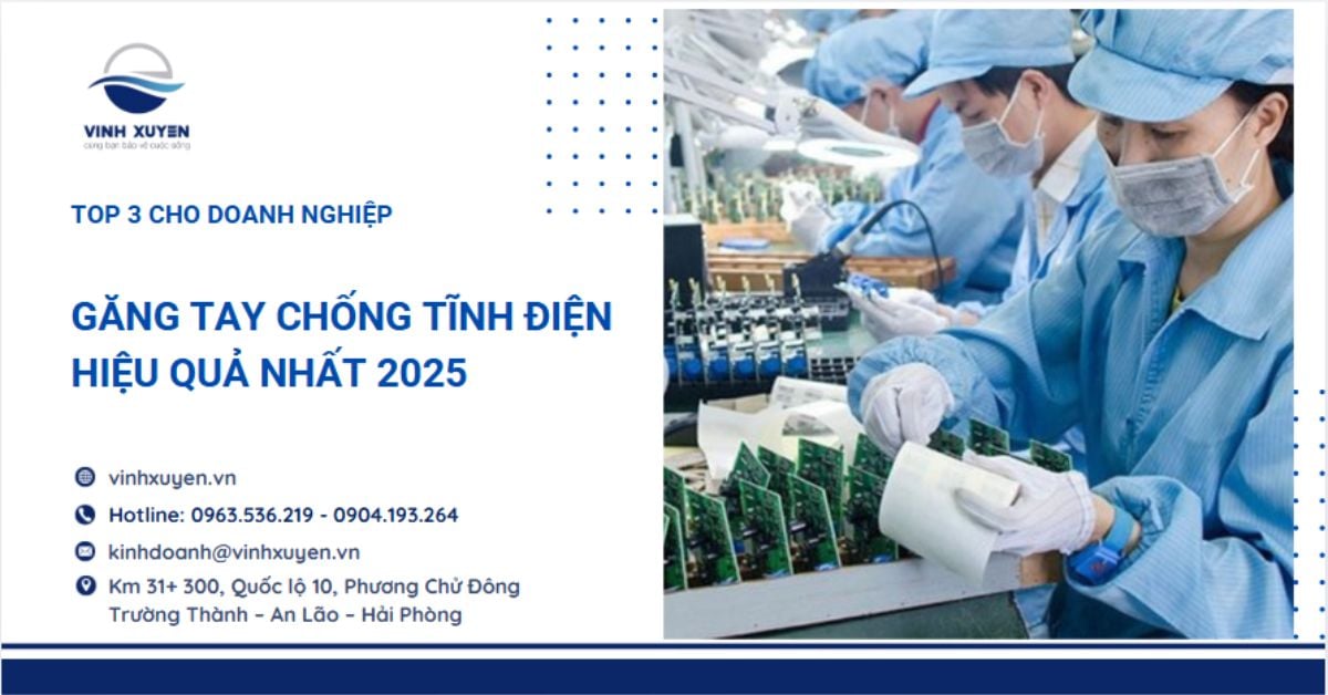 Găng Tay Chống Tĩnh Điện Hiệu Quả Nhất 2025 – Top 3 Cho Doanh Nghiệp