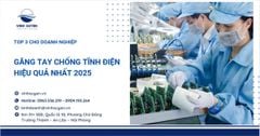 Găng Tay Chống Tĩnh Điện Hiệu Quả Nhất 2025 – Top 3 Cho Doanh Nghiệp