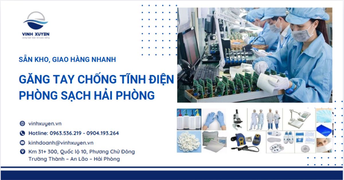 Găng tay chống tĩnh điện phòng sạch Hải Phòng – Vĩnh Xuyên, nhà cung cấp uy tín