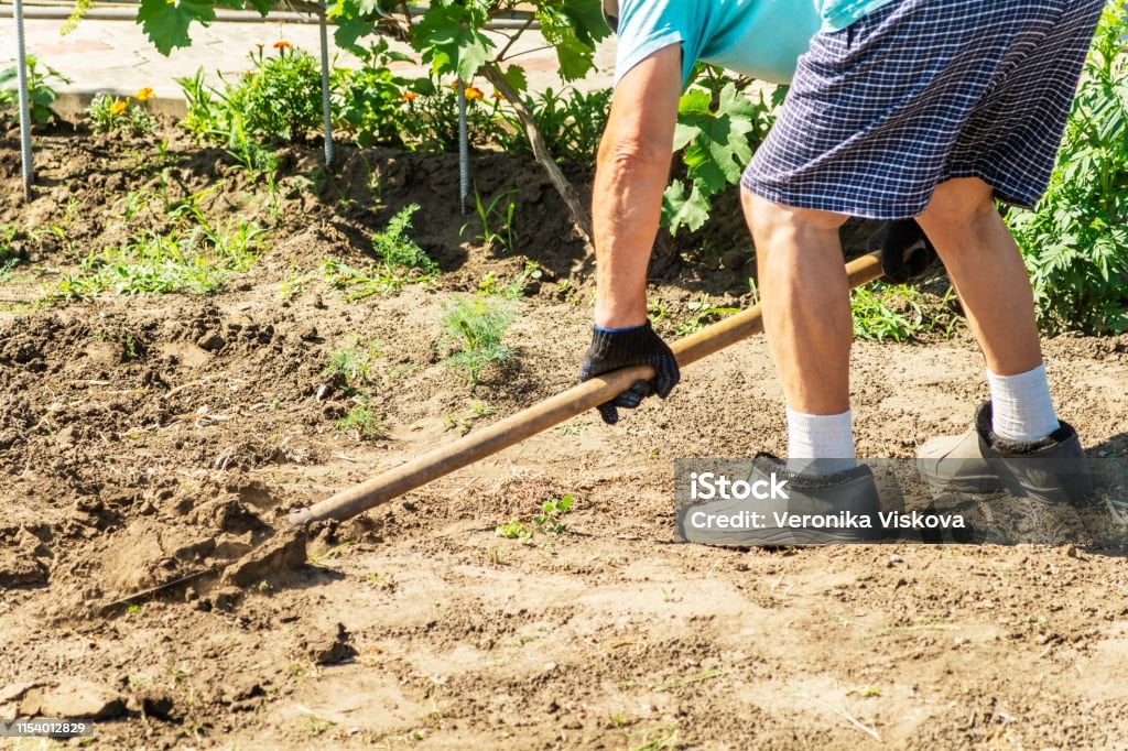 Bảo Vệ Chân Tối Đa: Tiêu Chí Chọn Giày Bảo Hộ Nông Nghiệp Chất Lượng