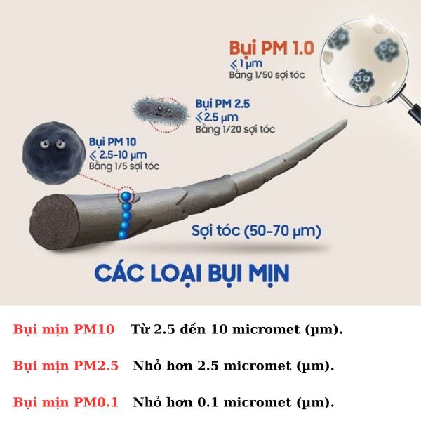 Phân loại bụi mịn