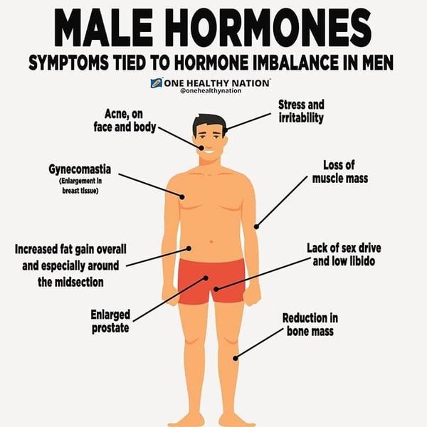 TẬP THỂ DỤC VÀ NỘI TIẾT TỐ NAM: HIỂU BIẾT TỪ Y HỌC CHỨC NĂNG