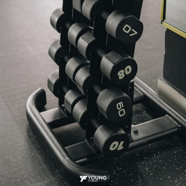 LỊCH TẬP GYM CHO NGƯỜI MỚI
