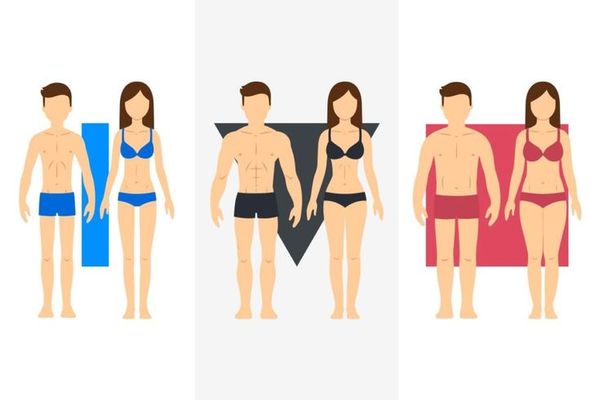 Ectomorph, Mesomorph, Endomorph Là Gì? Cách Tập Luyện Hiệu Quả Cho Từng Tạng Người