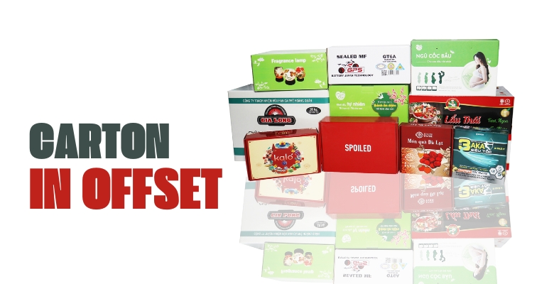 Gợi ý 7 công ty bao bì carton cán màng PE hàng đầu ở Ninh Thuận
