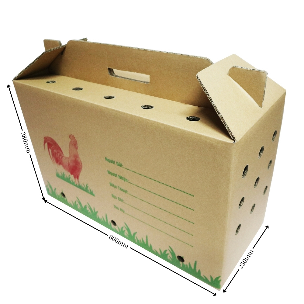 Địa chỉ sản xuất thùng carton tại Long An 2025