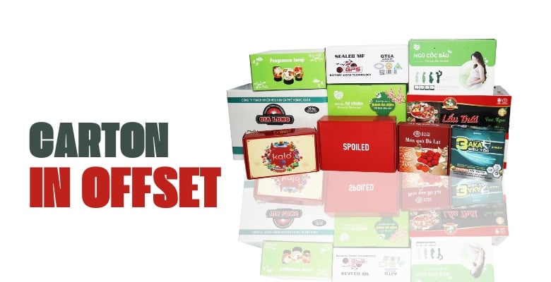 Top 7+ công ty bao bì carton uy tín tại Đồng Tháp mới năm 2025