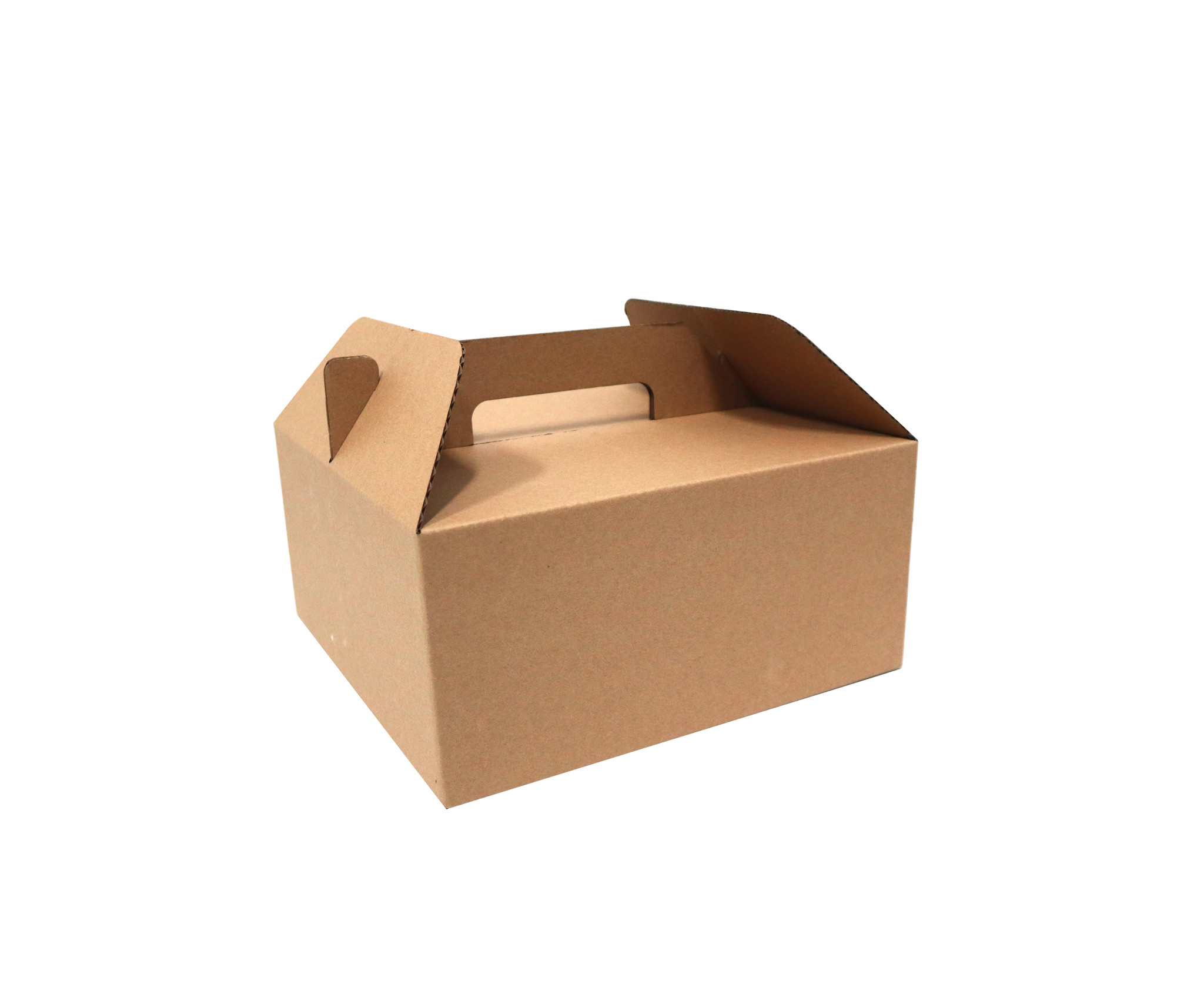 TOP 6 ĐỊA CHỈ BÁN HỘP CARTON ĐỰNG GIÀY SỈ VÀ LẺ TẠI TPHCM T01/2025