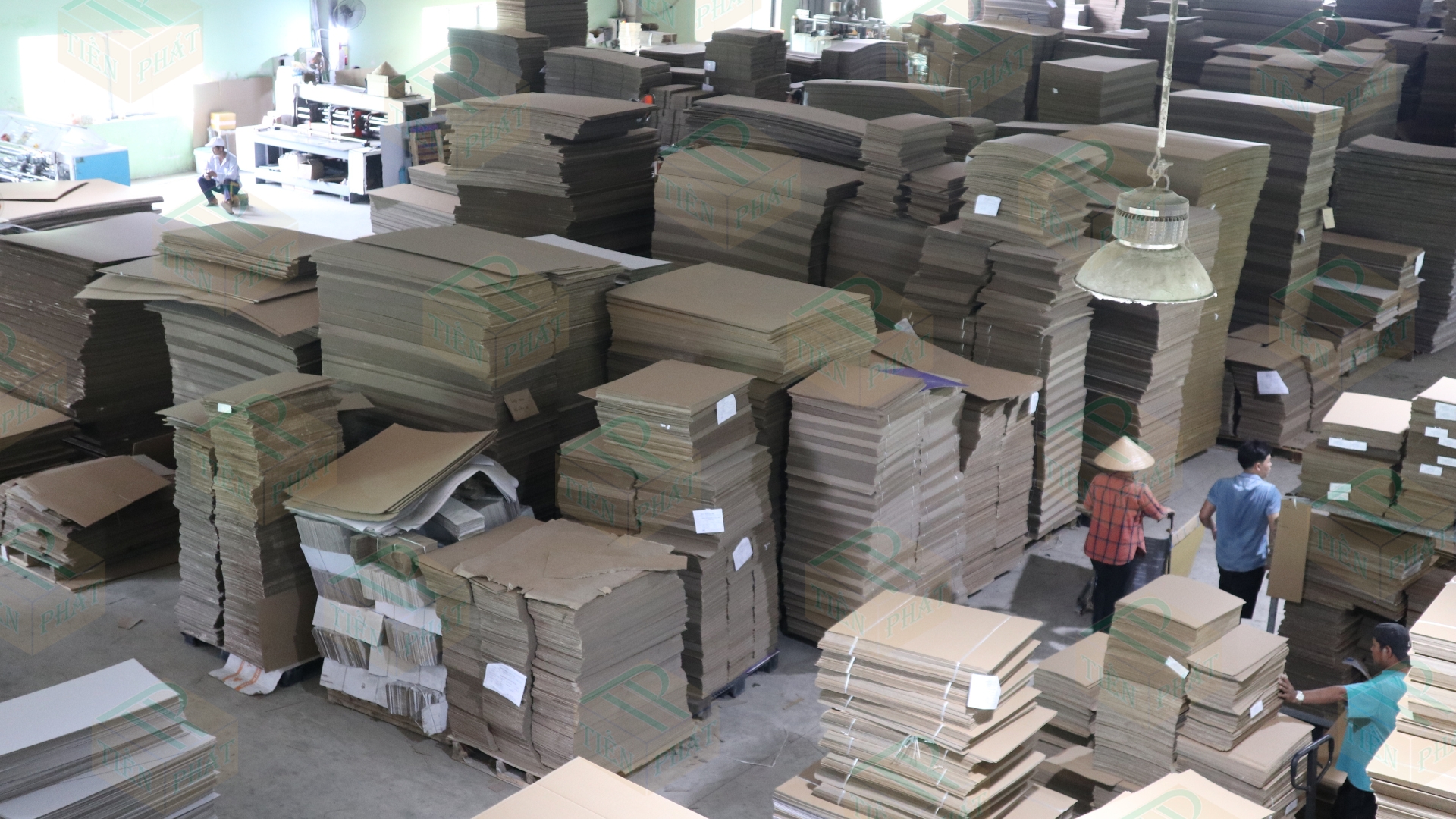 Top 7+ công ty bao bì carton LỚN uy tín tại LONG AN T1/2025