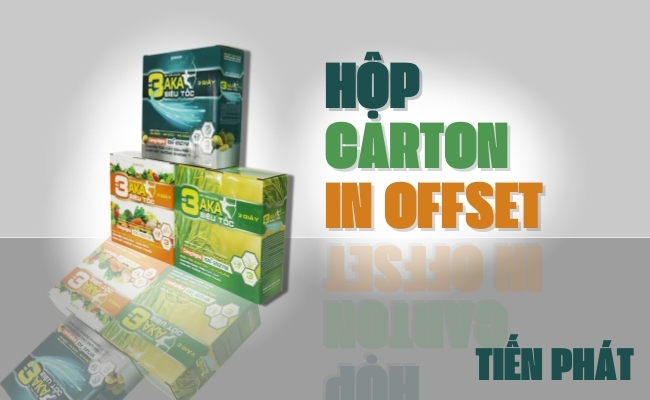 Top 7 công ty sản xuất thùng carton tại Đà Nẵng mới nhất năm 2025