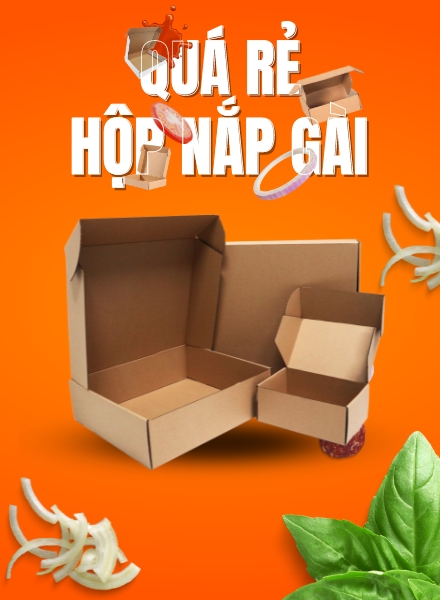 Địa chỉ bán hộp carton nắp gài ở TPHCM giá rẻ