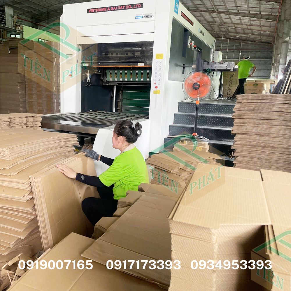 Tham khảo công ty sản xuất thùng carton tại Long An T1/2025