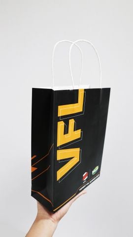 Danh sách 10 địa điểm in túi giấy số lượng ít tại Bình Thuận