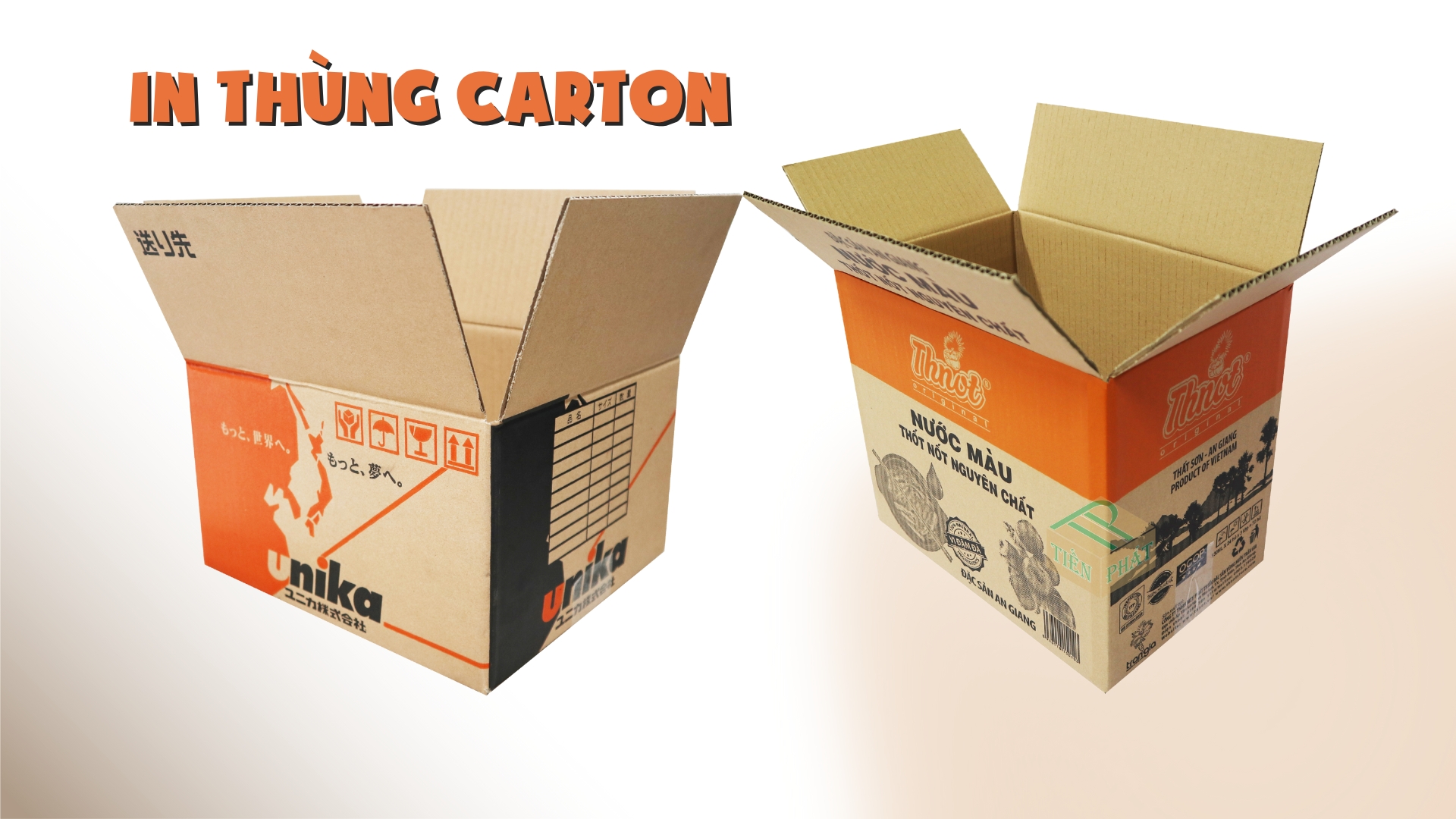 Phương pháp in thùng carton phổ biến - IN FLEXO THÙNG CARTON