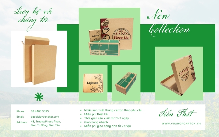 Tổng hợp 5 công ty bao bì carton lớn và uy tín ở Cần Thơ năm 2025