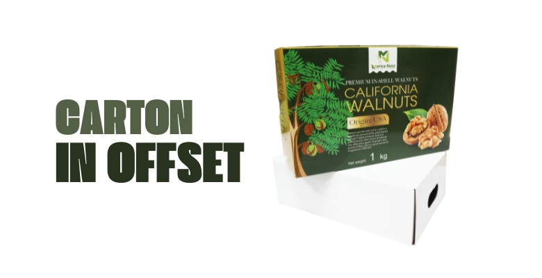 Mách bạn 7 công ty bao bì carton hàng đầu ở Sóc Trăng năm 2025