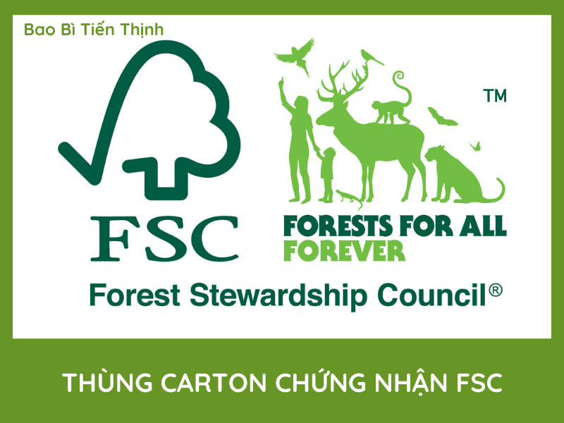 THÙNG CARTON CHỨNG NHẬN FSC