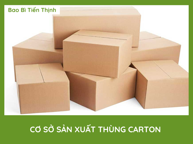CƠ SỞ SẢN XUẤT THÙNG CARTON TIẾN THỊNH