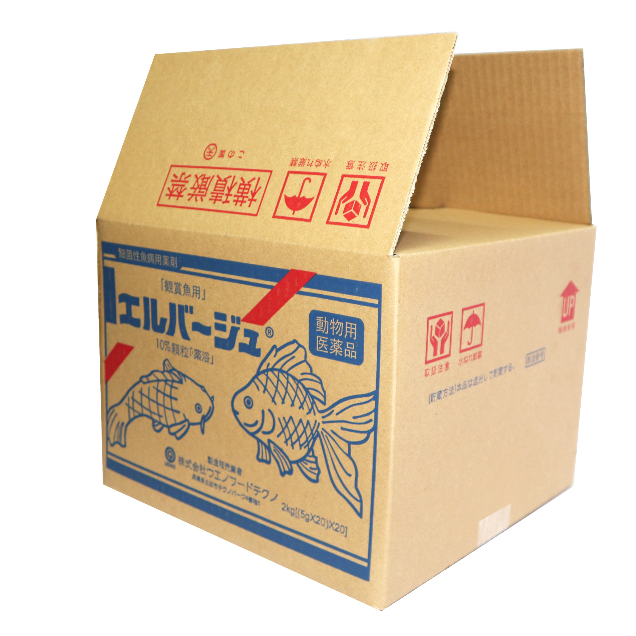 Bỏ túi 10+ công ty bao bì carton hàng đầu tại Tây Ninh