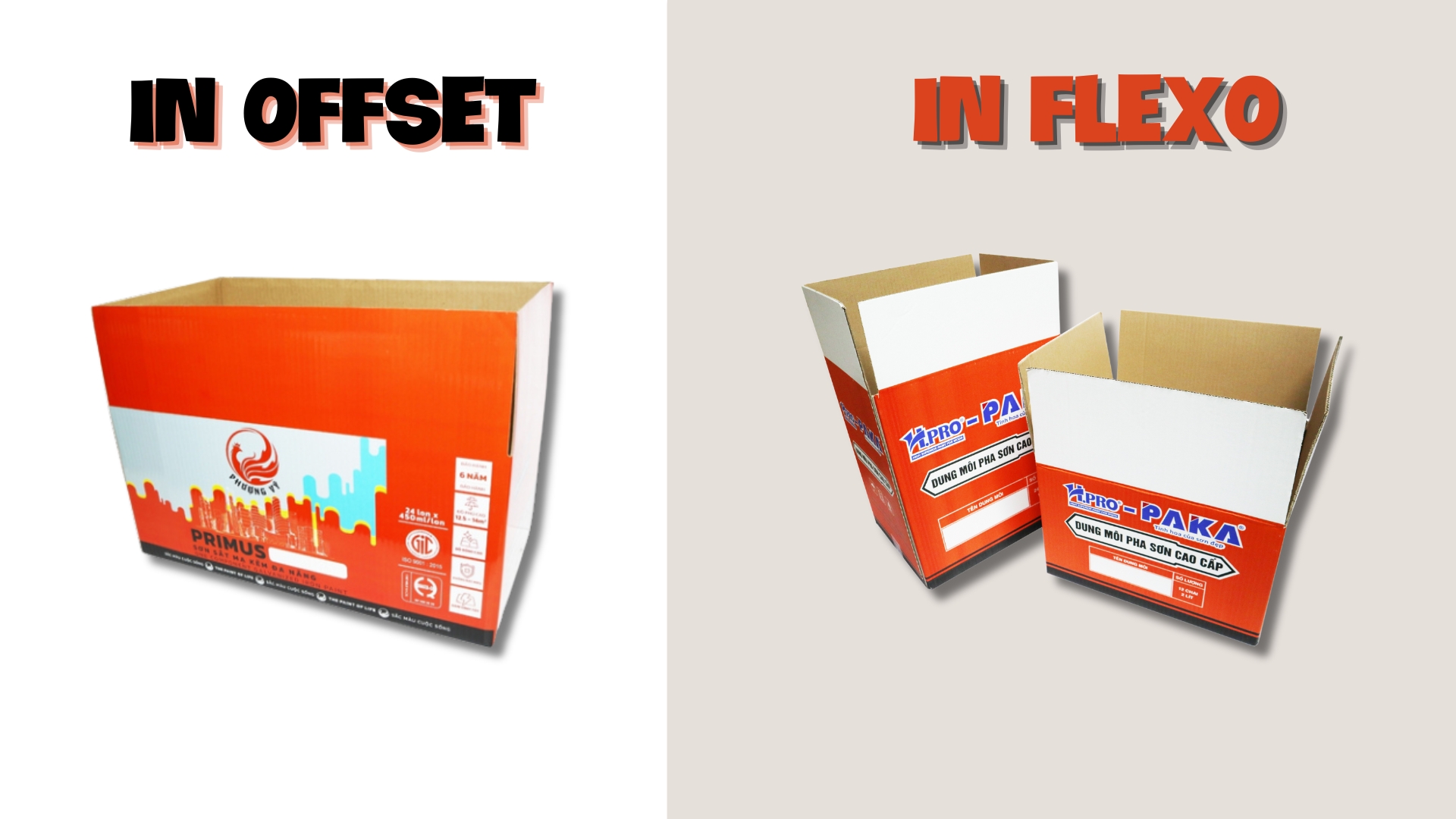 Top 10 công ty bao bì carton chất lượng cao tại Long An năm 2025