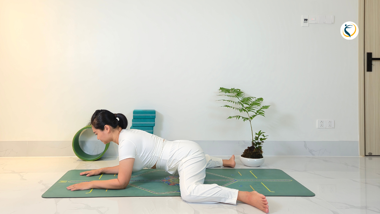 TƯ THẾ CON ẾCH (FROG POSE) TRONG YOGA – CÁCH THỰC HIỆN VÀ LỢI ÍCH – Omi ...