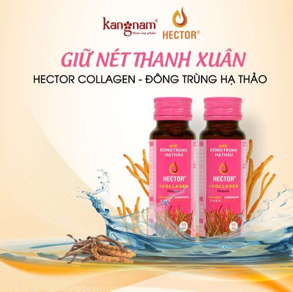 Nước Đông Trùng Hạ Thảo Kết Hợp Collagen Hector Cordyceps Collagen