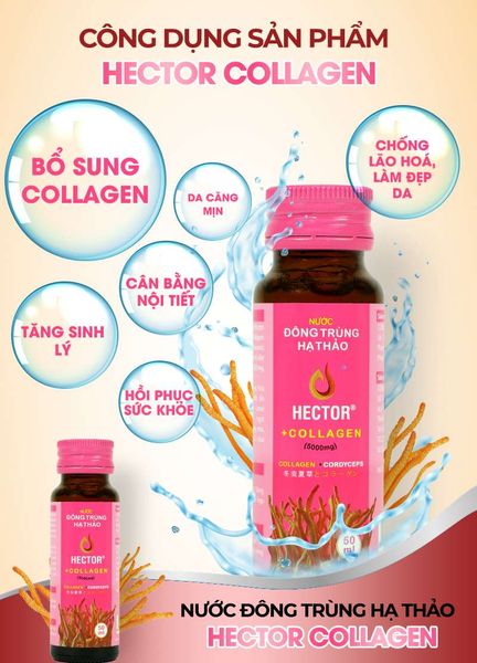 Nước Đông Trùng Hạ Thảo Kết Hợp Collagen Hector Cordyceps Collagen