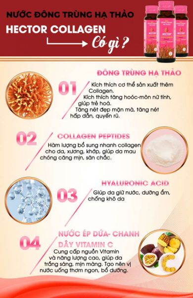 Nước Đông Trùng Hạ Thảo Kết Hợp Collagen Hector Cordyceps Collagen