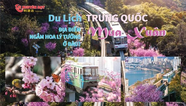 Du lịch Trung Quốc - Mùa Xuân