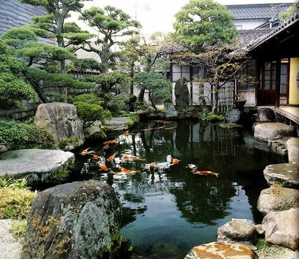 MẪU HỒ CÁ KOI ĐẸP NHẤT NĂM 2025