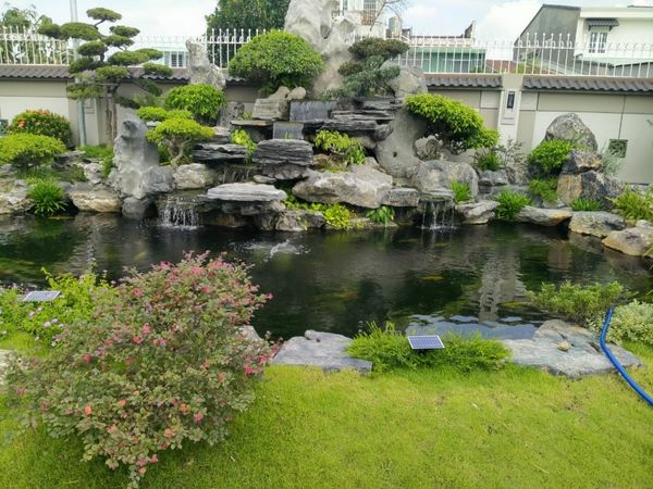 Thiết Kế Thi Công Hồ Cá Koi Đẹp 2025